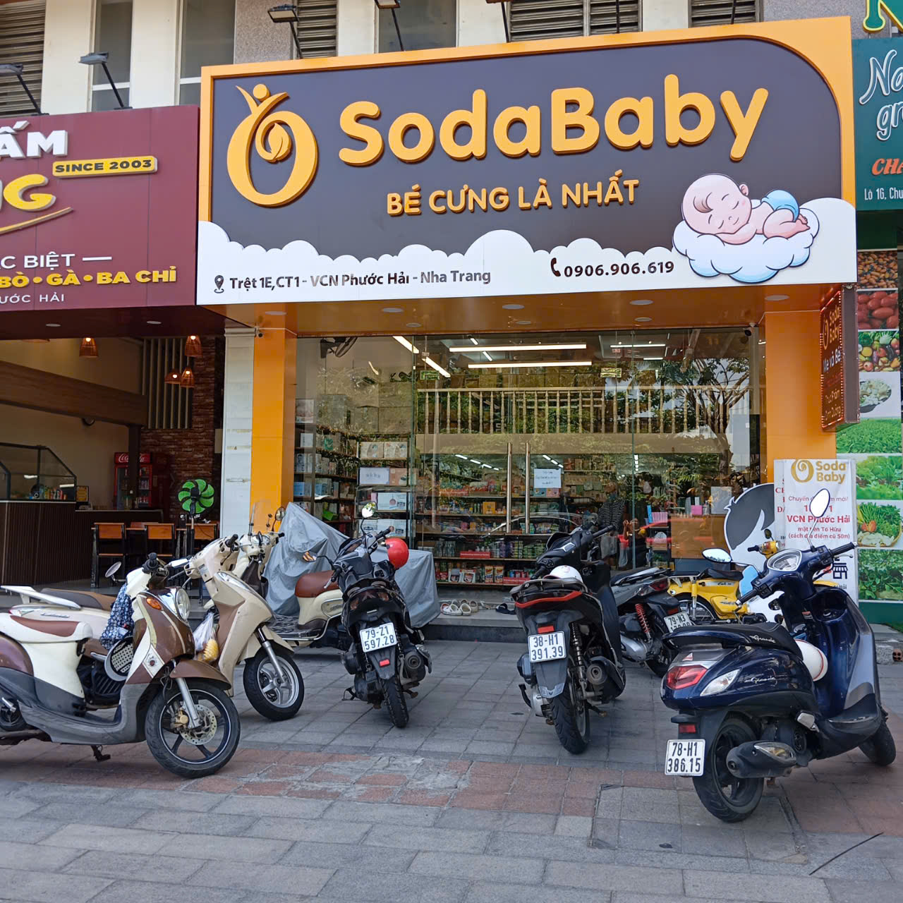 lĩnh vực hoạt động